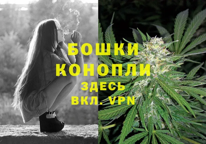 Бошки Шишки SATIVA & INDICA  как найти   Яровое 